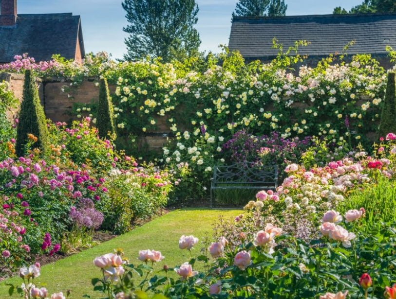 Hyde Park Rose Garden, St Albans, United Kingdom